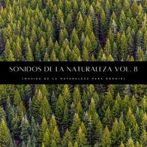 Sonidos De La Naturaleza Vol. 8 - Ruidos de la Selva