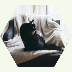 Relaxing Background Music for Soulful Kittens - Calming Cat Music