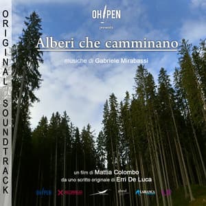 Alberi che camminano OST - Gabriele Mirabassi