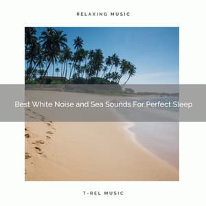 Best White Noise and Sea Sounds For Perfect Sleep - Astral Noise
