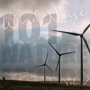 Wind Noise Vol. 2 - 101 Nature Sounds