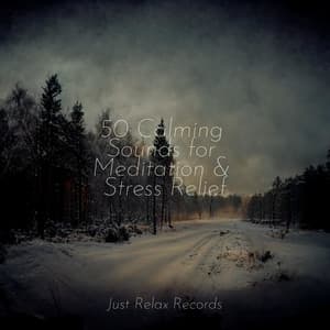 50 Calming Sounds for Meditation & Stress Relief - CANCIONES DE CUNA