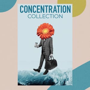 Concentration Collection - Work Music