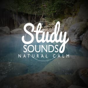 Study Sounds: Natural Calm - Exam Study Nature Music Nature Sounds