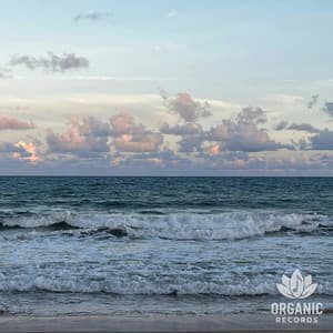 Saltlight - Ocean in HD