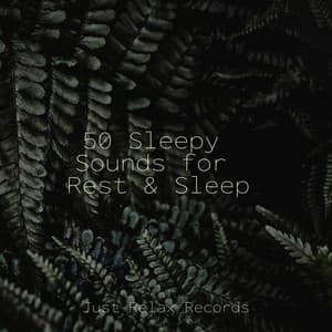 50 Sleepy Sounds for Rest & Sleep - Sleep Music Lullabies