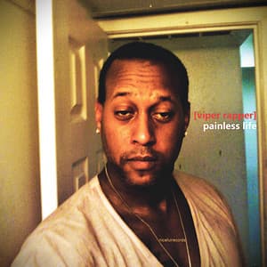 Painless Life - Viper