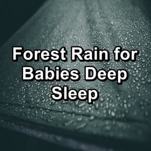 Forest Rain for Babies Deep Sleep - Rain