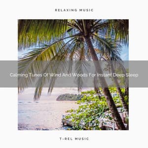 Calming Tunes Of Wind And Woods For Instant Deep Sleep - Sound Sleeping