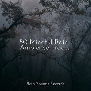 50 Mindful Rain Ambience Tracks - Rising Higher Meditation