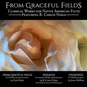 From Graceful Fields - R. Carlos Nakai