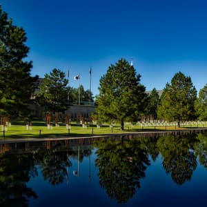 Mellow Soundscapes | Sleep - Study Concentration