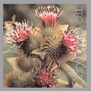 Burdocks - Christian Wolff