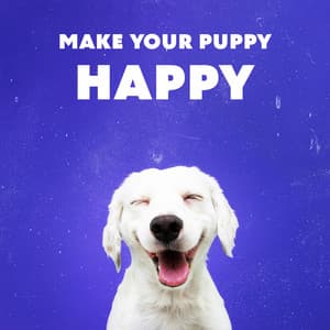 Make Your Puppy Happy: Therapy Music for Dog's and Cat's, Deep Relax, Sleep and Positive Vibes - Animal Melody Wizard