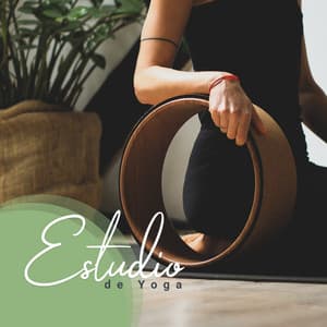 Estudio de Yoga: Sonidos tranquilos para Hatha y Kundalini, Técnicas de Meditación de Atención Plena - Ambiente Relajante de Música