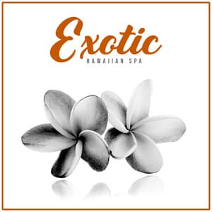 Exotic Hawaiian Spa – Very Relaxing Native Music for Spa & Wellness, Massage on the Sun, Positive Vibration - Tranquility Day Spa Music Zone
