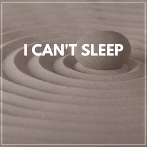 I Can't Sleep - Meditation & Focus Workshop