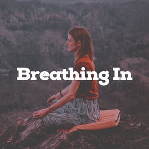 Breathing In - Insomnia Relief Music