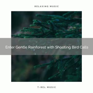 ! ! ! ! ! ! ! ! ! ! Enter Gentle Rainforest with Shooting Bird Calls - Heavy Rain Sounds