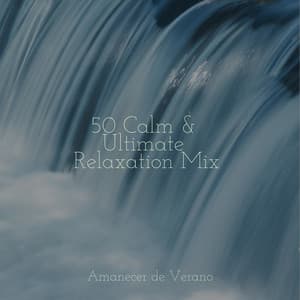 50 Calm & Ultimate Relaxation Mix - Relaxing Mindfulness Meditation Relaxation Maestro
