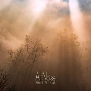 Sleep Of Serenade - Ali Noise
