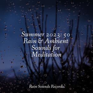 Summer 2023: 50 Rain & Ambient Sounds for Meditation - Sons da Natureza
