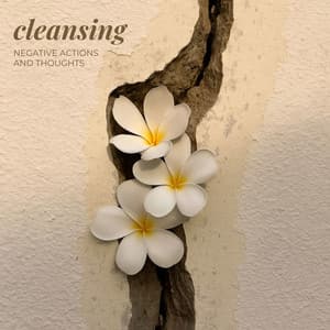 Cleansing Negative Actions and Thoughts - Keith Yama