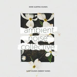 More Sleeping Sounds: Ambient Noise Collective - Sleep Sounds Ambient Noises