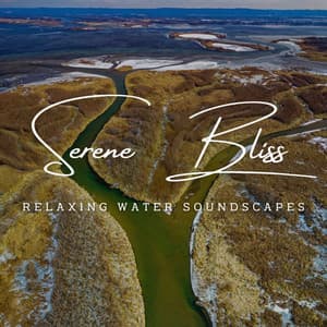 River of Serene Bliss: Relaxing Water Soundscapes - Brain Timbre