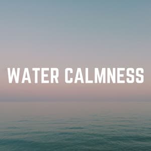 Water Calmness - Outdoor Field Recorders
