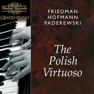 The Polish Virtuoso - Ignaz Friedman