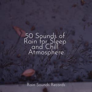 50 Sounds of Rain for Sleep and Chill Atmosphere - Weather Factory