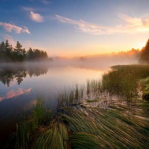 Hip Hop Escape: Rhythms for the Free Spirit - Lofi Tracks