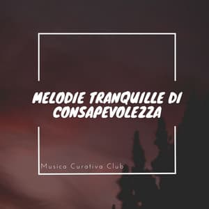 Melodie tranquille di consapevolezza - Musica Curativa Club