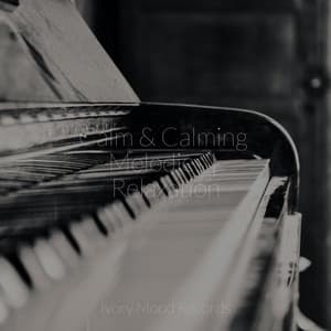 Calm & Calming Melodies | Relaxation - Ivory Mood
