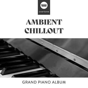 Ambient Chillout Grand Piano Album - Palm Analogue