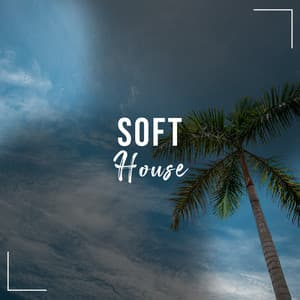 Soft House, Vol. 1 - Palm Analogue