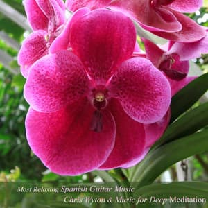 Most Relaxing Spanish Guitar Music - Music for Deep Meditation