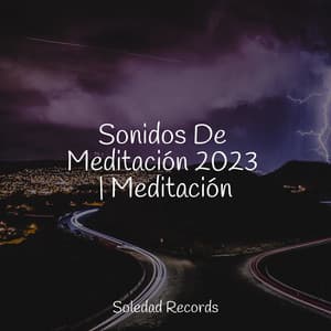 Sonidos De Meditación 2023 | Meditación - Sonidos de la Naturaleza