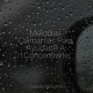 Melodías Calmantes Para Ayudarte A Concentrarte - Musica Relajante