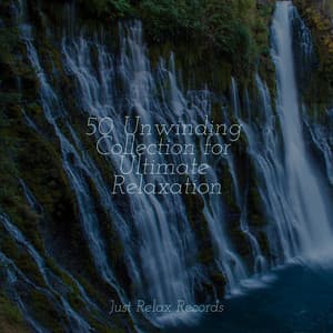 50 Unwinding Collection for Ultimate Relaxation - Best Relaxing SPA Music