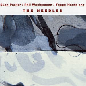 The Needles - Evan Parker