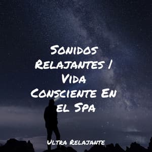 Sonidos Relajantes | Vida Consciente En el Spa - Cascada de Lluvia