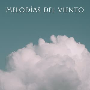 Melodías Del Viento - Registradores de campo al aire libre