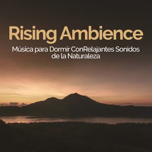 Rising Ambience - Música para Dormir Con Relajantes Sonidos de la Naturaleza
