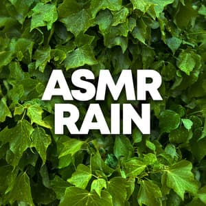 ASMR Rain - Nature Therapy