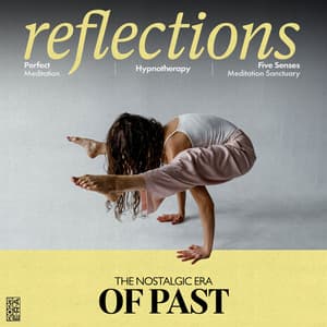 Reflections of Past - Perfect Meditation