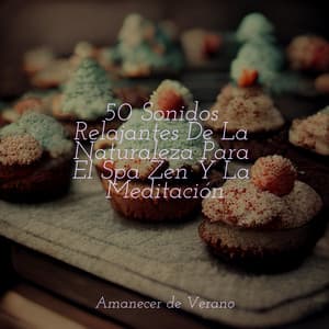 50 Sonidos Relajantes De La Naturaleza Para El Spa Zen Y La Meditación - Naturaleza Sonidos