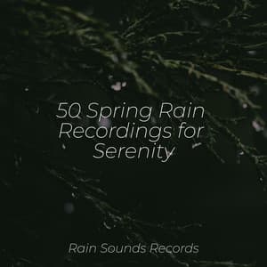 50 Spring Rain Recordings for Serenity - Binaural Beats Brainwave Entrainment