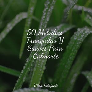 50 Melodías Tranquilas Y Suaves Para Calmarte - Canciones De Cuna Para Dormir Bebes